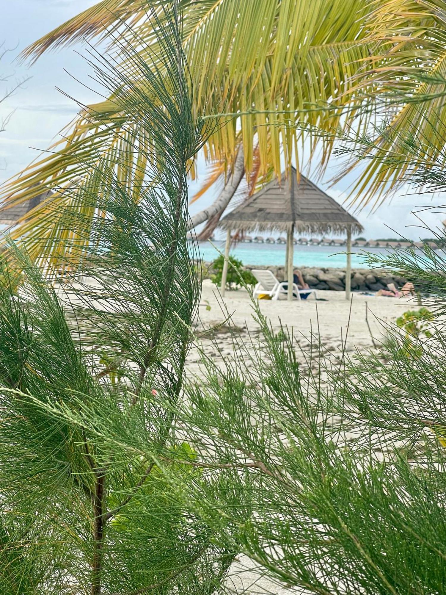 La Isla Tropica Hotel Guraidhoo  Ngoại thất bức ảnh